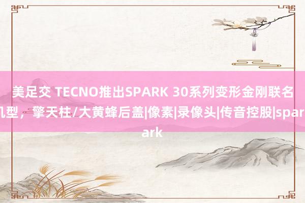 美足交 TECNO推出SPARK 30系列变形金刚联名机型，擎天柱/大黄蜂后盖|像素|录像头|传音控股|spark