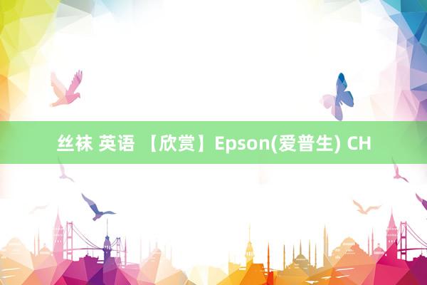 丝袜 英语 【欣赏】Epson(爱普生) CH